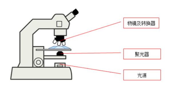 鹵素燈光源 鹵素燈光源