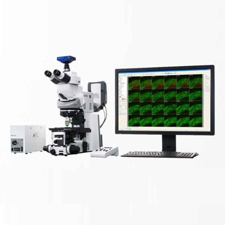 蔡司光學(xué)顯微鏡Axio Examiner固定載物臺式研究級顯微鏡 蔡司光學(xué)顯微鏡Axio Examiner固定載物臺式研究級顯微鏡